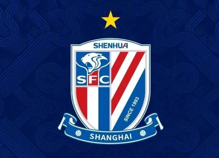 高效对抗驼背的居家健身器材实测与选购攻略