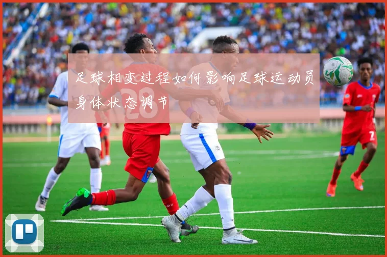 足球相变过程如何影响足球运动员身体状态调节